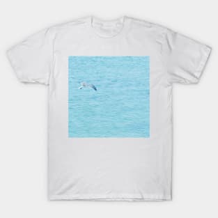 Grey gull flying over at Oman sea T-Shirt